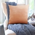thumbnail image 3 of Dvruxg Velvet Throw Pillow Covers 16x16 Inch - Soft Square Decorative Cushion Cover for Couch, Sofa, 3 of 5