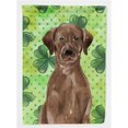 thumbnail image 1 of Carolines Treasures BB9540GF Chocolate Labrador St.Patricks Flag Garden Size, 1 of 3