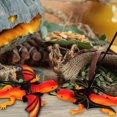 thumbnail image 2 of 2 Pcs Bearded Dragon Leashes Outdoor Lizard Leashes Reptile Supplies for Pets, 2 of 9