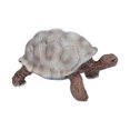 thumbnail image 1 of Modèle d'Animal Marin Réaliste, Jouets Éducatifs Cognitifs pour Enfants Modèle de Tortue Simulation Figurines Cadeau Décoration, 1 of 9