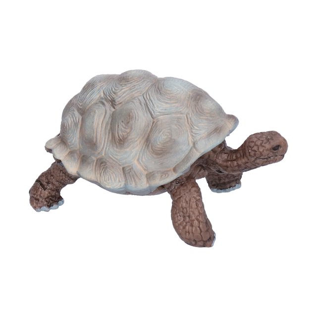Modèle d'Animal Marin Réaliste, Jouets Éducatifs Cognitifs pour Enfants Modèle de Tortue Simulation Figurines Cadeau Décoration