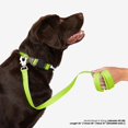 thumbnail image 4 of NANDOG The Signature Collection Waterproof Poly-Flex Sport Dog Collar in Medium Neon Green - Durable & Adjustable Design - Comfortable Fit for Active Dogs - Ideal for Outdoor Adventures, 4 of 5
