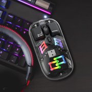 EGNMCR Transparent Wireless Mouse 2.4G/Bluetooth 5.0 2-mode Connection TYpe-c Rechargeable Mouse Standard Magnetic Design RGB Lighting wireless mouses