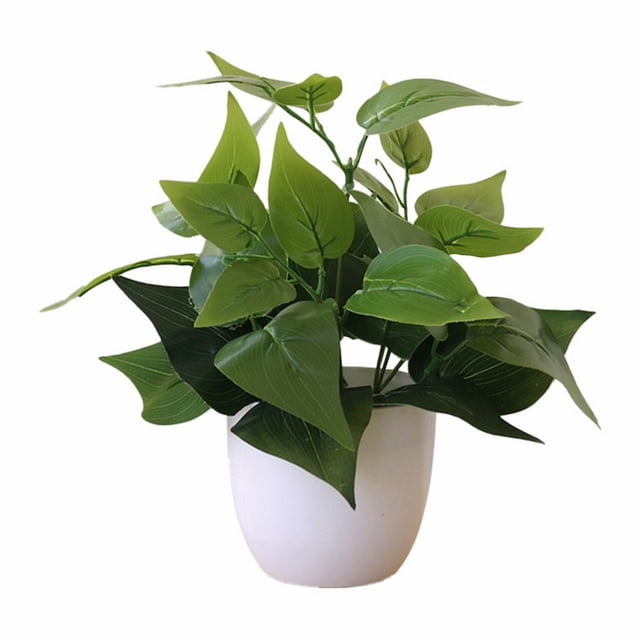 Potted Bonsai in White Round Pot for Home Kitchen Table Indoor - Green Botanical for Living Room