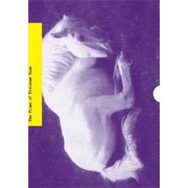 Vivienne Dick : Entre Vérité et Fiction ( la Beauté Devient la Bête / Visibilité Modérée / comme l'Aube à la Poussière / un Petit Homme Mince Attaqué Papa / Sacc [ FORMAT Non USA, PAL, Reg.0 Import - France ]