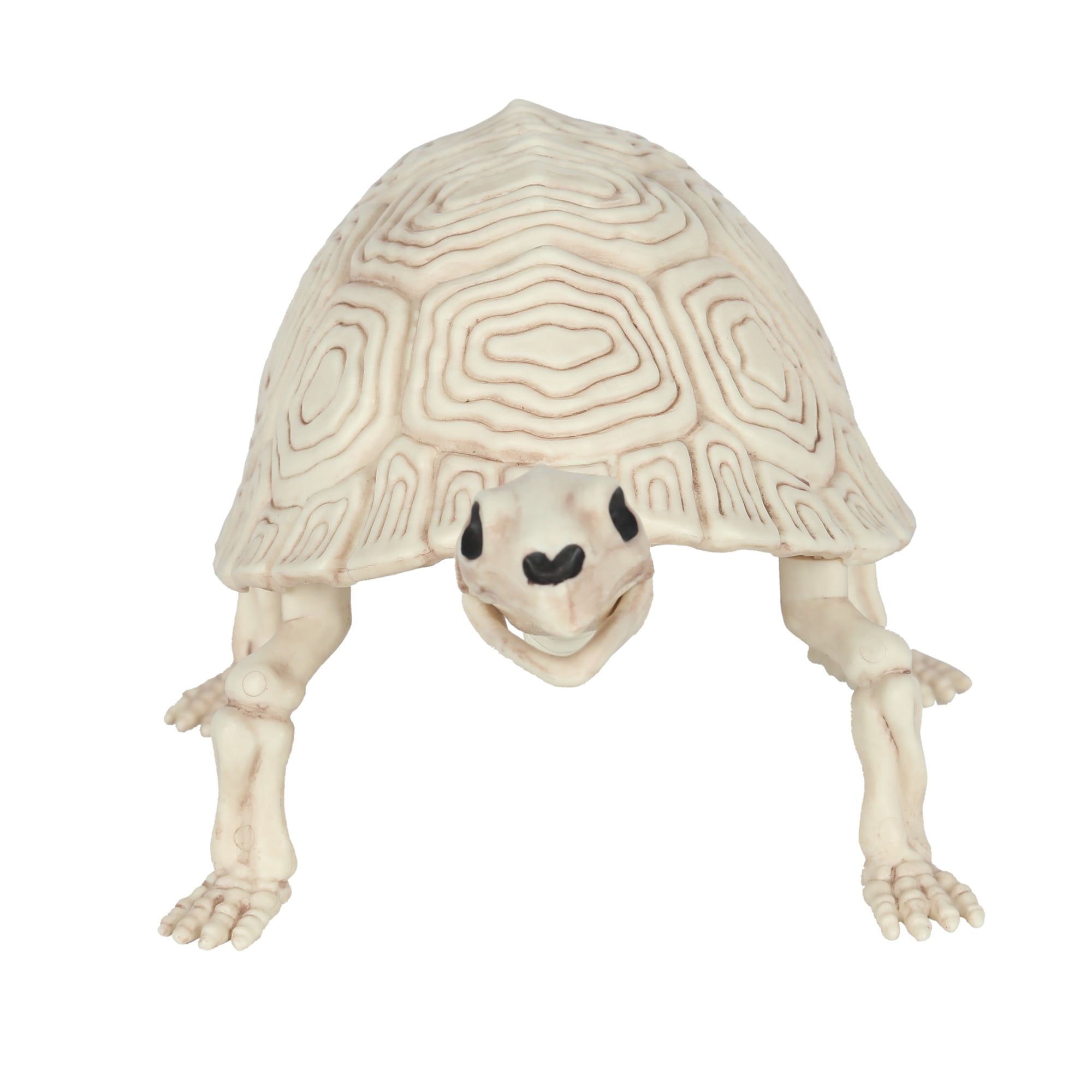 Way To Celebrate Halloween Turtle Skeleton 5.25"H