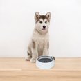 thumbnail image 5 of Perfect Solutions Water Bowl, 5 of 5
