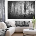 thumbnail image 2 of Designart Beautiful Forest Morning Panorama Canvas Wall Art, 2 of 4