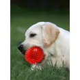 thumbnail image 1 of 1pc Squeaky Dog Toy Ball, Pet Molar Toy For Small Dogs, Spike Medium Size, , No Bpa, Suitable For Both Large And Small Breeds, 1 of 4
