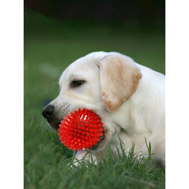 1pc Squeaky Dog Toy Ball, Pet Molar Toy For Small Dogs, Spike Medium Size, , No Bpa, Suitable For Both Large And Small Breeds