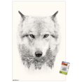 thumbnail image 1 of Wolf - Trees Wall Poster, 22.375" x 34", 1 of 4