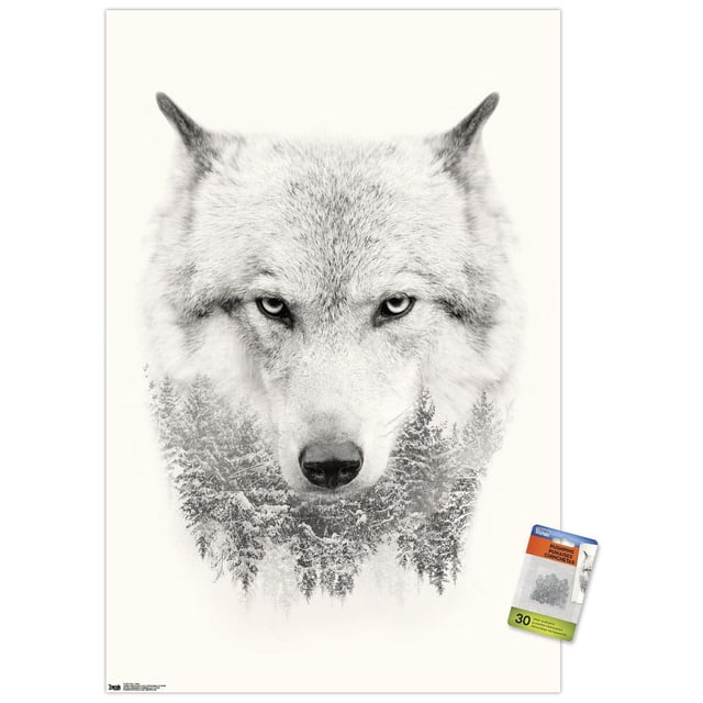 Wolf - Trees Wall Poster, 22.375" x 34", depicting a front-facing wolf head with detailed fur blending into a snowy evergreen forest at the bottom, printed on glossy paper with included clips for easy hanging, suitable for bedroom or office wall décor.