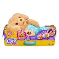 thumbnail image 1 of Little Live Pets - Cozy Dozy Charlie the Puppy, 1 of 8