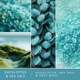 thumbnail image 4 of D'huile parfumée Scentsationals - Eucalyptus et sel marin, 4 of 8