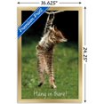 thumbnail image 3 of Célèbre chaton accroché là-bas Poster, 3 of 5