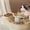 Beige, variant on Cat Bowl Two In One Drinking Water Feeder, Xinsrenus Pet Automatic Circulating Water Dispenser, Neck Protector Tilted Bowl Non-Slip Weighted Base, Large Bowl Mouth Easy Clean Plastic Cat Water