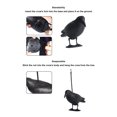 thumbnail image 3 of Practice Bow Decoy, 3D Eyes and Claws Crow Decoy Easy Hanging  for Outdoor Shooting, 3 of 7