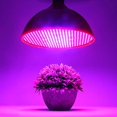 thumbnail image 2 of DAMAIE Plant Growth Light 80W LED Lamp Bulb Flowering Cultivation Horticultural Growth Lamp white, 2 of 4