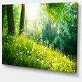 thumbnail image 2 of Belle Herbe Verte et Arbres - Grande Impression sur Toile de Paysage, 2 of 4