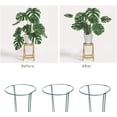 thumbnail image 2 of 6 Pack Plant Support Stakes, Metal Garden Plant Stake, Green Half Round Plant Support Rings For Potted Plants, Plant Cage For Tomato, Hydrangea, 2 of 7