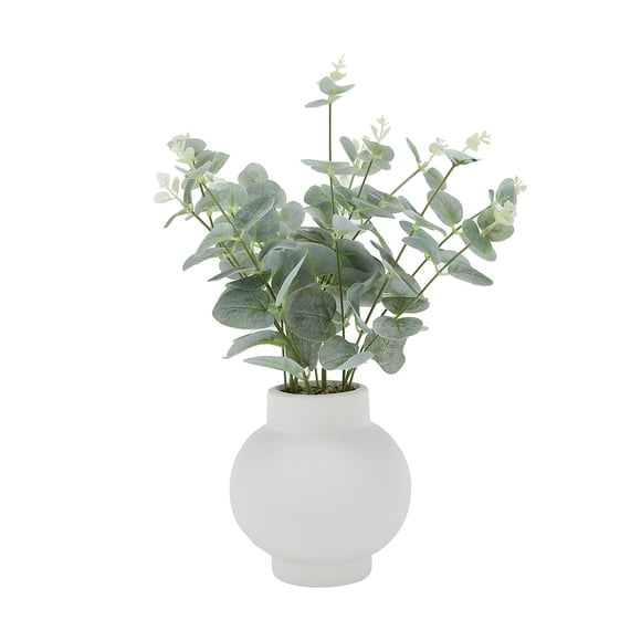 Anko Artificial Eucalyptus Stems in Vase