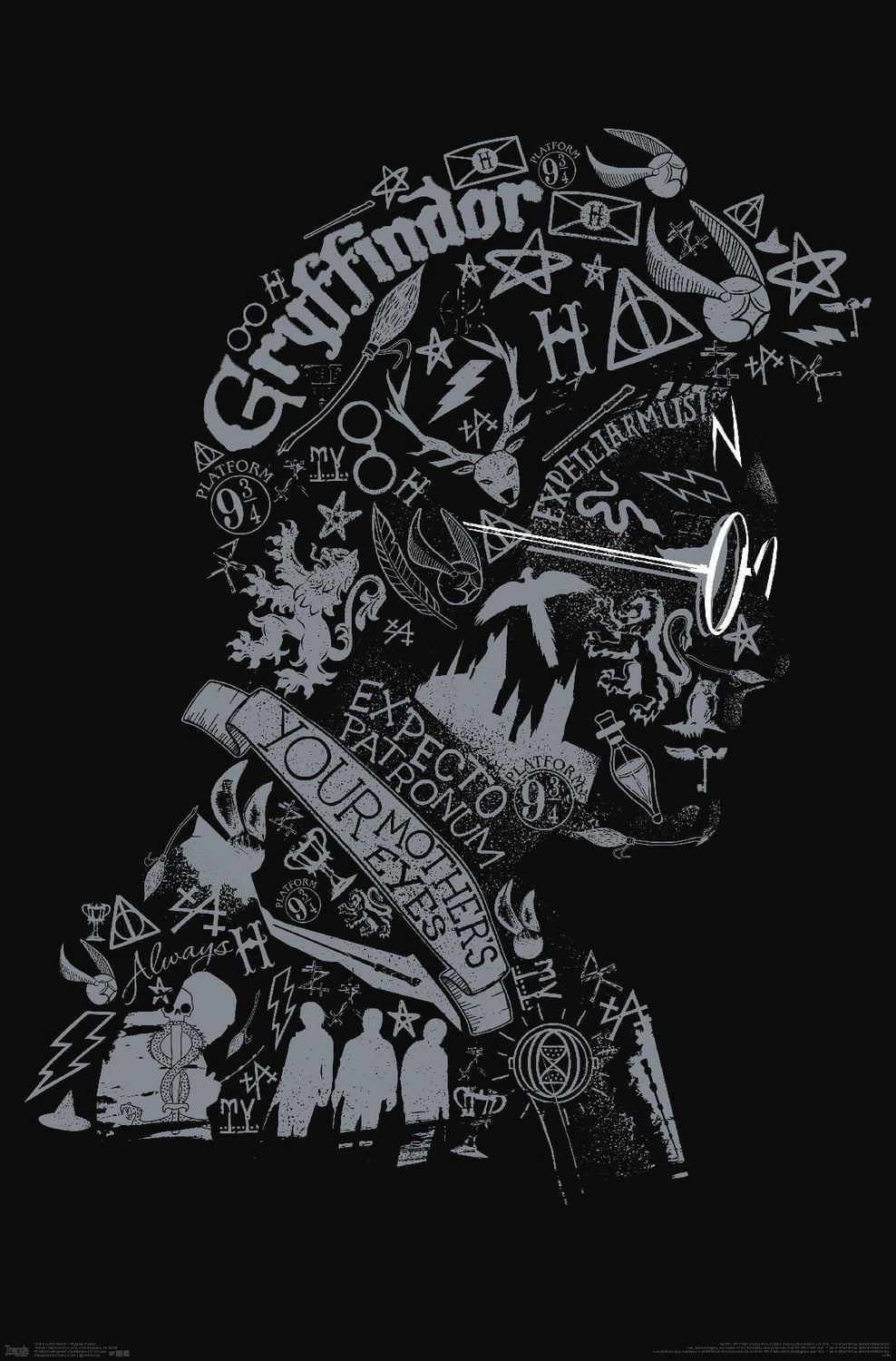 Le monde magique : Harry Potter - Texte graphique de Harry Potter