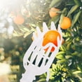 thumbnail image 3 of Outil de Panier de Cueillette de Fruits, ZZkhGO Cueilleur de Verger à Récolte Rapide, Perche Attachable Collecteur de Fruits pour Récolte de Poires et d'Oranges, Blanc, 3 of 5