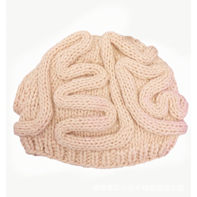 Funny Brain Knitted Hat,Knitted Personalized Brain Hat,Winter Hat