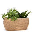 thumbnail image 3 of Oval Terracotta Colored Ridged Planter, 3 of 4