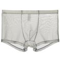thumbnail image 1 of XZNGL Mens Mesh Comfortable Sweat-Absorbing Ultra-Thin Underwear with Flat Angle Pants, 1 of 1