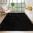 thumbnail image 1 of Hasoo 5' x 8' Fluffy Shaggy Soft Area Rug for Living Room Dorm Home Decor Aesthetic, Black, 1 of 7
