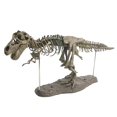 thumbnail image 2 of Dinosaur Skeleton Model Un Dinosaur Toys Figure for Home Office Desktop Decoration Ornament, 2 of 5