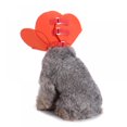 thumbnail image 3 of Collier Conique de Récupération pour Animaux, Collier Électronique pour Chats et Chiens, Fleur, Éponge en Dacron Souple, Collier Protecteur, 3 of 8