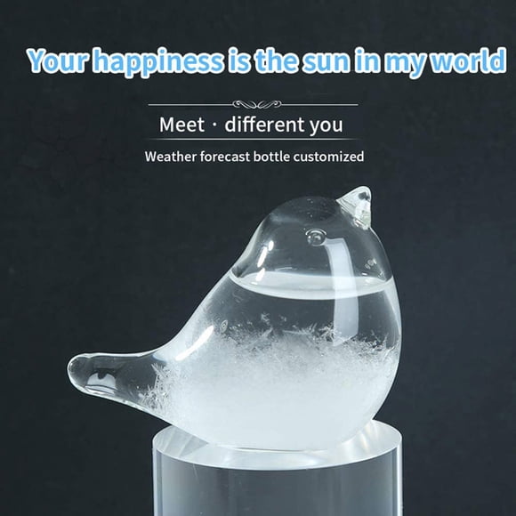 Ornement de Bureau Verre Préviseur Baromètre Météo pour la Maison et le Bureau Jauge de Liquide de Bureau avec Capacité de 30 ml