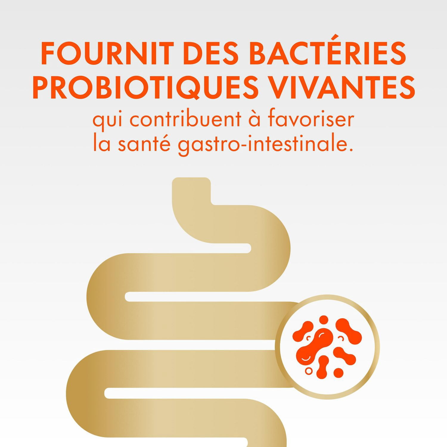 Align Gommes Probiotiques, Saveur de Fraise