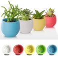 thumbnail image 3 of Colorful 7*6.5cm Round Plastic Flower Pot Plant Planter Garden Home Office Decor, 3 of 5