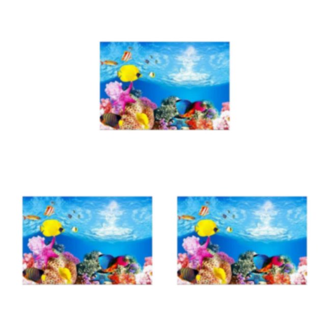 Youkk Beautiful PVC Aquarium Background Poster Vibrant Fish Tank Decoration Landscape 30x52cm 3Set