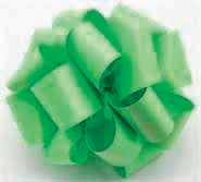 Ruban Vert Agrumes en Polypropylène 40X100Yds