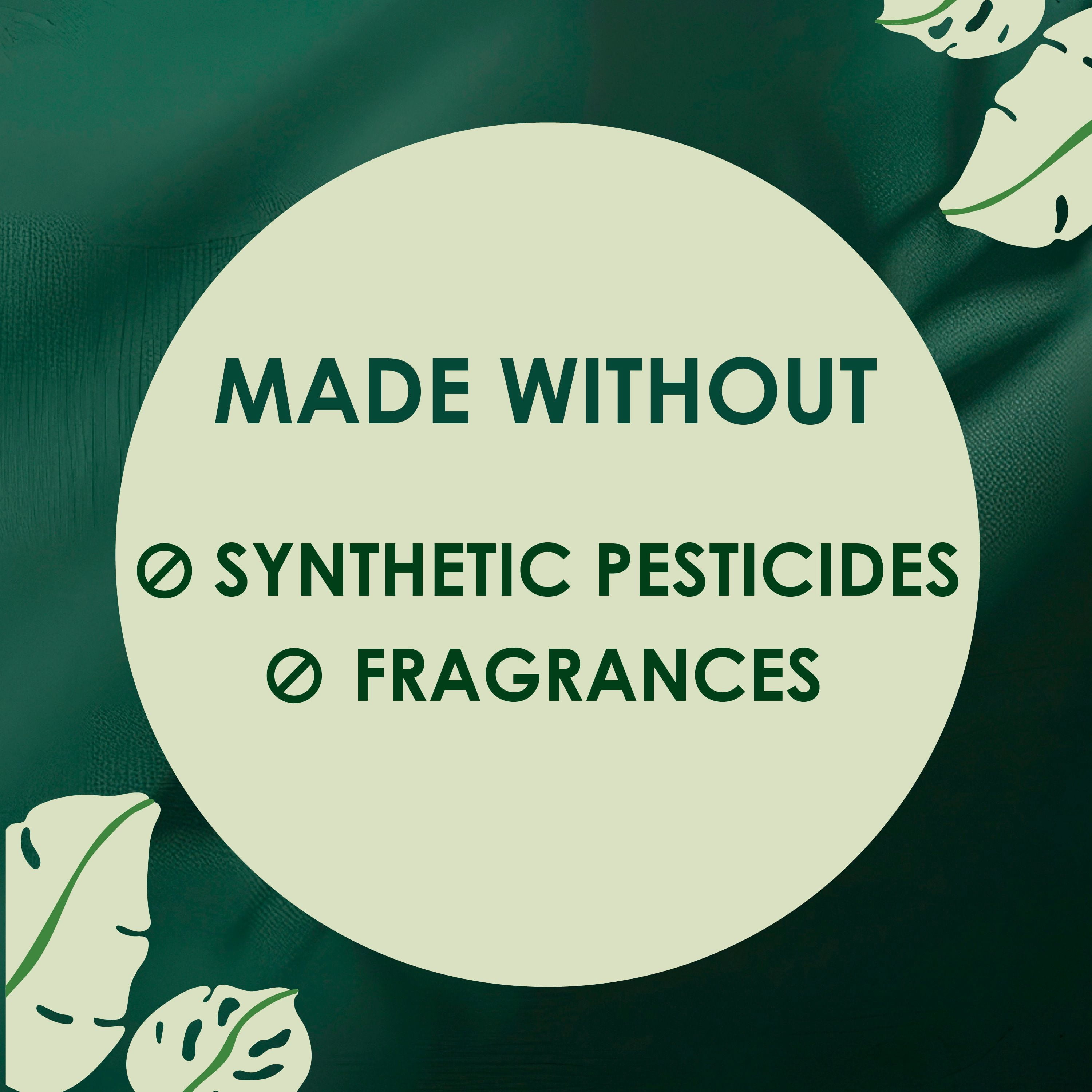 L. Serviettes Ultra-Minces pour Femmes, Voile Supérieur en Coton Biologique, Absorption de Nuit, Serviettes Menstruelles avec Ailes 36 Unités