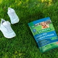 thumbnail image 4 of Schultz® Grass Seed, 1 kg, 4 of 4
