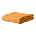 thumbnail image 1 of TopLLC Blanket,Throw Blanket,Fall Blanket Fiber Blanket Thickened Solid Color Sofa Blanket Conditioning Blanket Nap Blanket 43.3 X 51.18 Inches Blanket Blanket, 1 of 5
