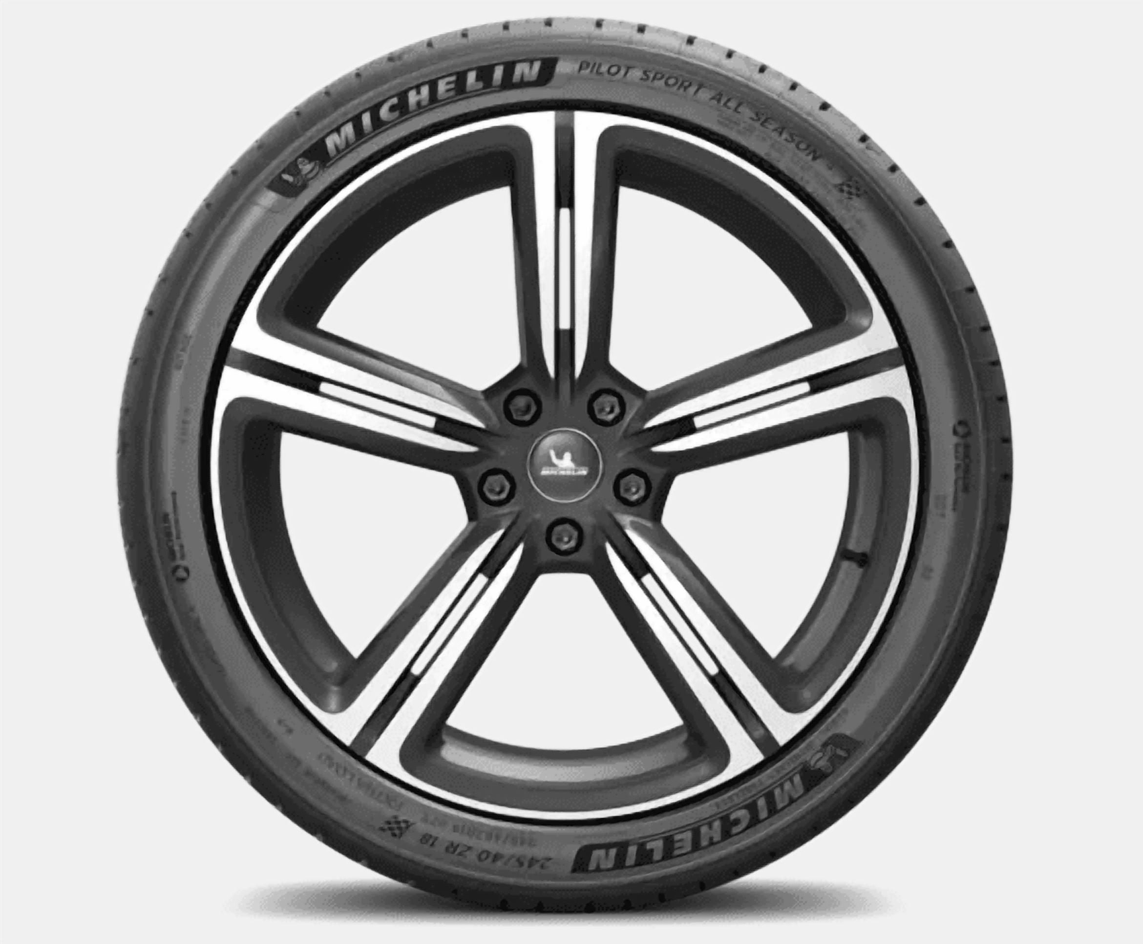 Michelin Pilot Sport AS 4 315/30R21XL 105V pneu toutes saisons