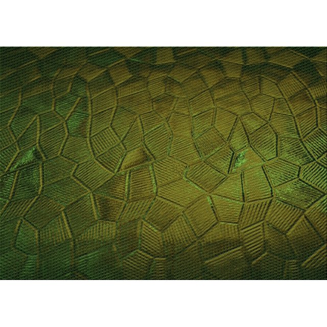 Ahgly Tapis Rectangulaire Lavable en Machine Intérieur Transitionnel Vert Forêt Foncé, 2 Pieds x 3 Pieds