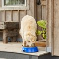 thumbnail image 4 of Farm Innovators Heated Pet Bowl with Stainless Steel Insert (3 Pack), 4 of 7