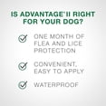 thumbnail image 2 of Advantage II Flea Treatment for Medium Dogs (4 dose), 2 of 7