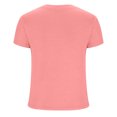 thumbnail image 4 of AherBiu Hauts Côtelés pour Femmes Été Col Ras du Cou Tricoté Manches Courtes Extensible Coupe Ajustée Hauts de Sortie T-Shirts Chemises, 4 of 5