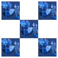 thumbnail image 1 of fastboy 10pcs Plastic Guitar Picks Sufficient Plectrums Instrument Accessories Wear-resistant Celluloid Gears As Shown 5Set, 1 of 6