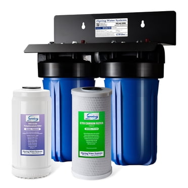 iSpring WGB21B-DS Système de Filtration d'Eau pour Toute la Maison à 2 Étapes, avec Filtre CTO pour Sédiments 10 Pouces x 4,5 Pouces (Chlore, Goût et Odeur), Polyfiltre Anti-Tartre, Entrée/sortie 1 Pouces