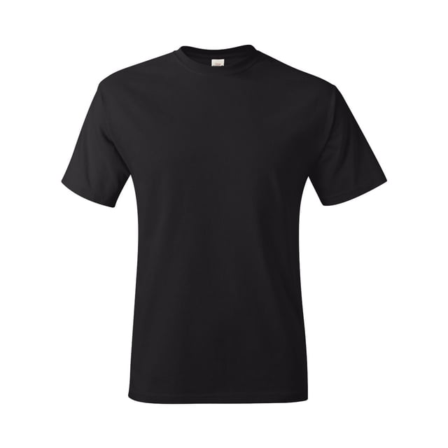 Hanes T-Shirt Authentic-T pour Hommes