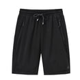 thumbnail image 1 of Birdeem Mens Solid Color Breathable Mesh Quick Dry Elastic 5-Point Leisure Sports Beach Pants, 1 of 1